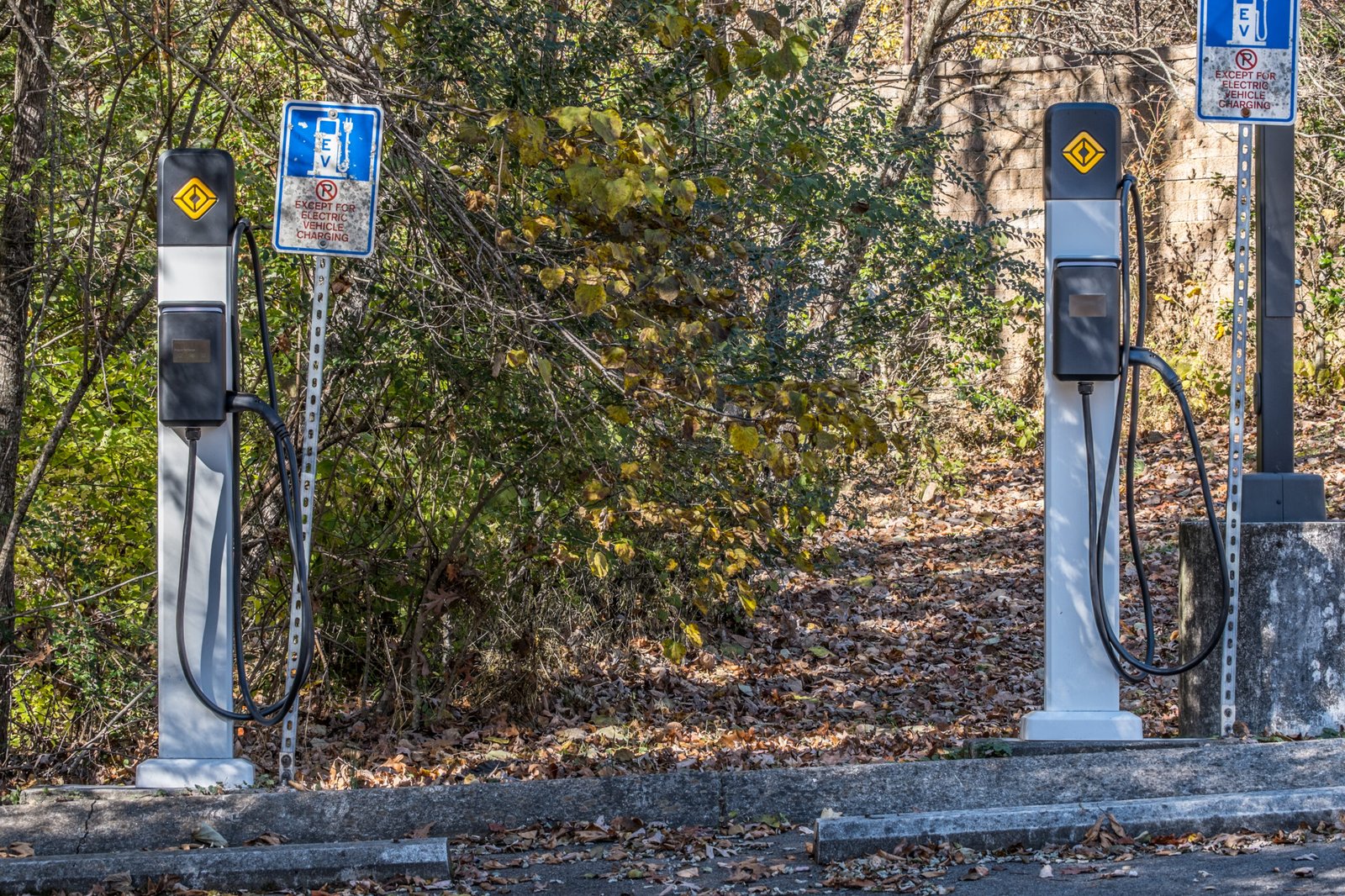 Dual Electric Car Charger: Power Your Ride in 2025