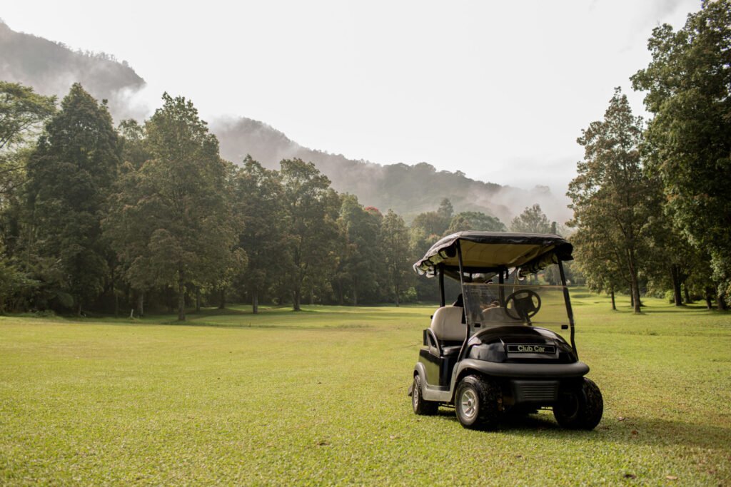 voiturette de golf garee bali indonesie