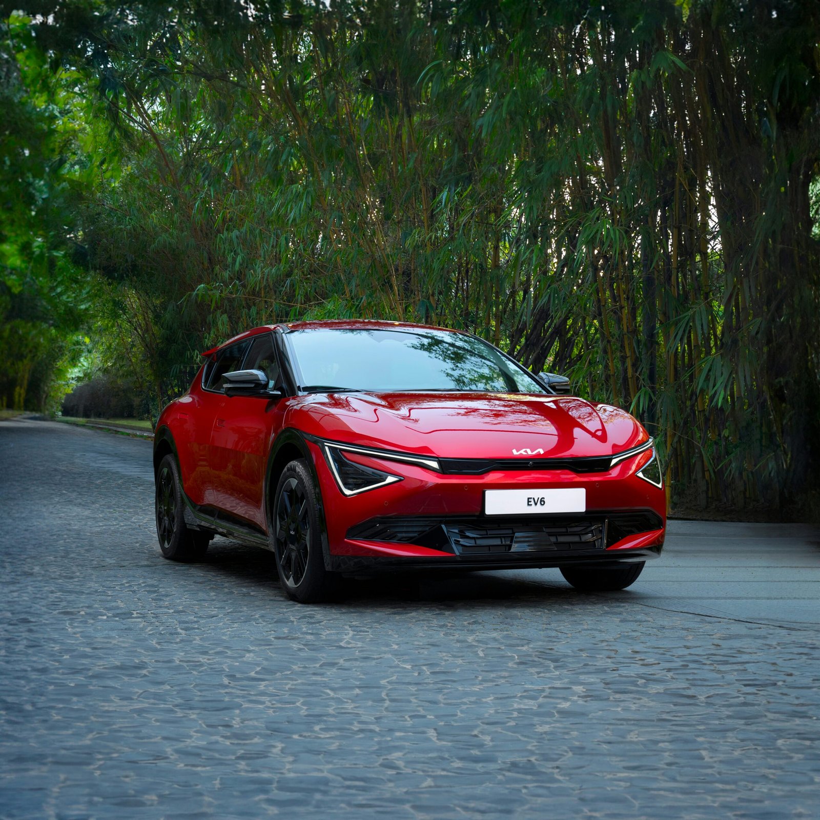 Why Shouldn’t We Go Fully Electric Cars? Key Reasons Explained